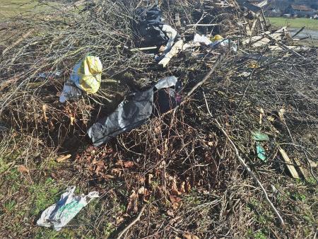 Zbirališče zelenega odreza